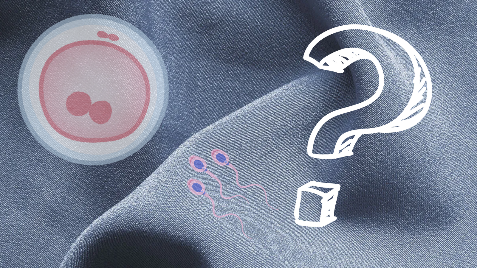 Polyester and Its Impact on Fertility: What You Need to Know
